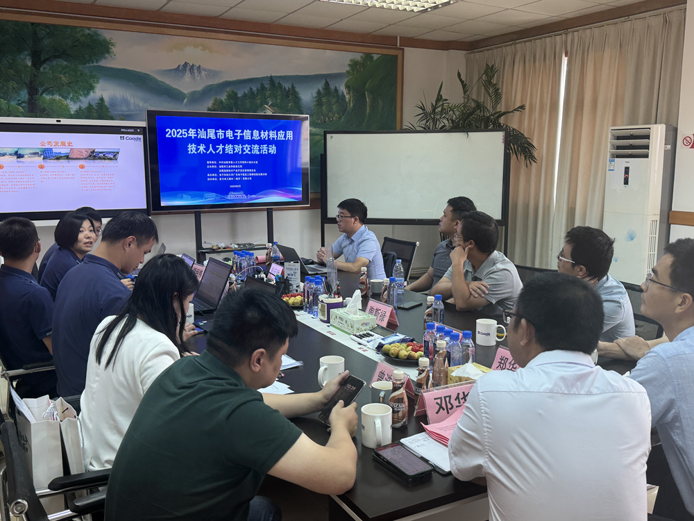 汕尾市电子信息材料应用技术人才结对交流活动在麦卡电工顺利举行(图2)